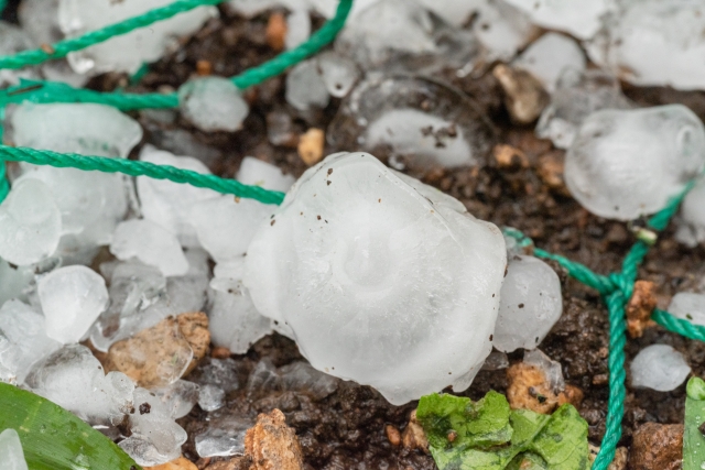 ゲリラ豪雨と雹（ひょう）によるお家の被害について